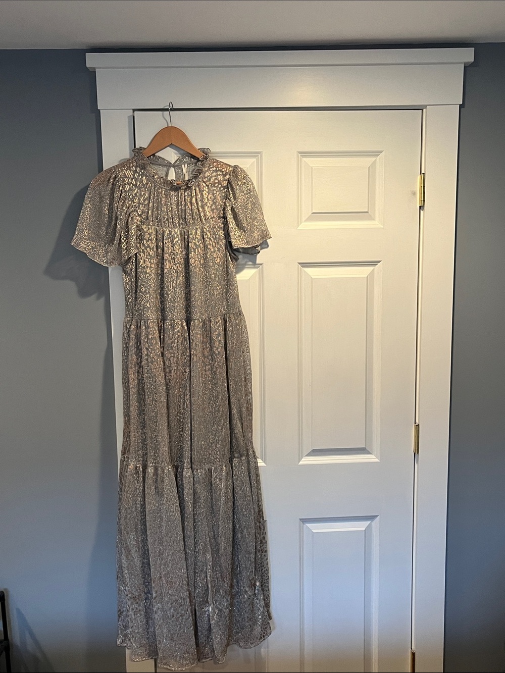 Anthropologie Metallic gold/Silver Tiered Maxi Dress